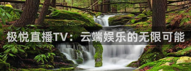 壹号大舞台下载链接