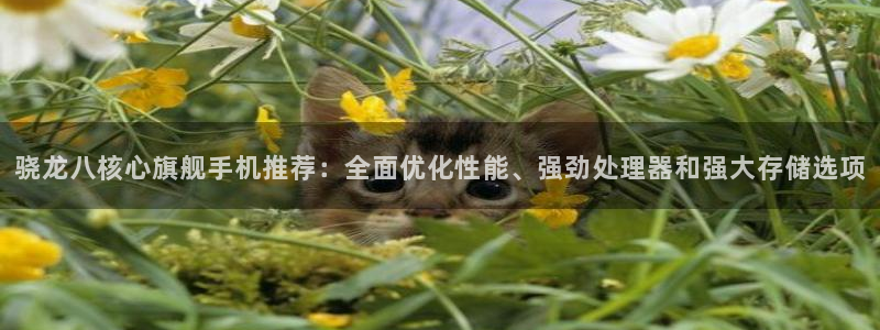 耀世娱乐充值怎么退款