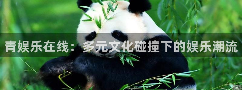 耀世娱乐网站