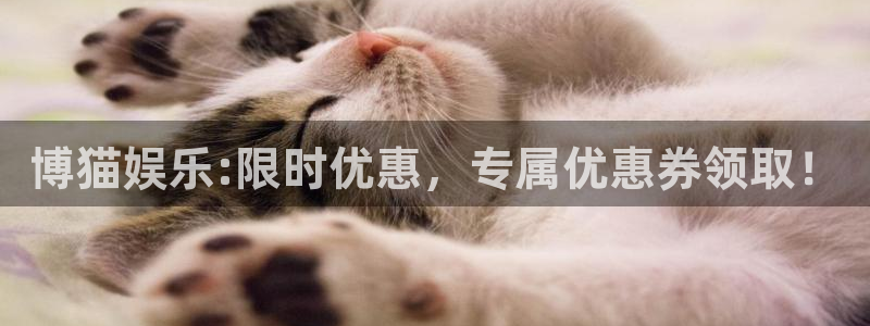 壹号大舞台娱乐传媒