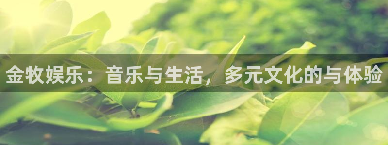 壹号平台app下载安装