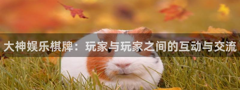 耀世娱乐退款怎么退