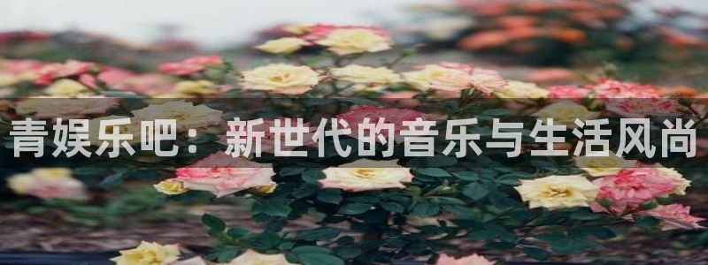 壹号电子娱乐app下载安装