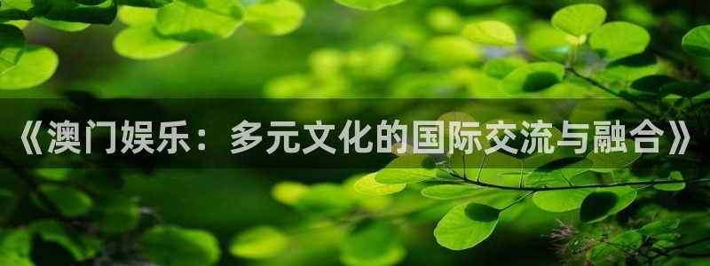 壹号下载官网入口