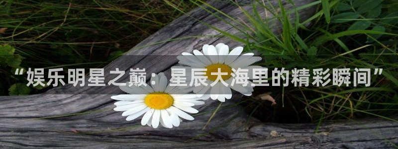 壹号app下载官方网站