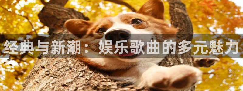 耀世娱乐,apk.1