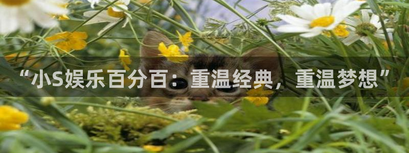壹号app下载官网娱乐