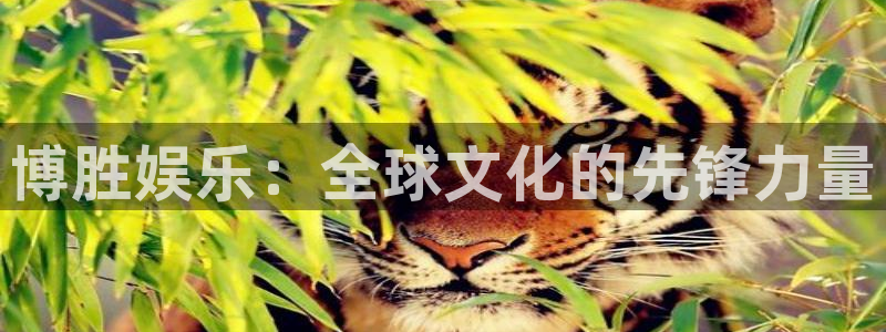 壹号平台娱乐