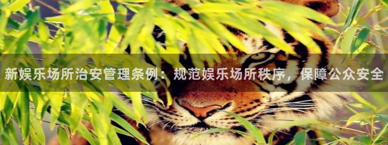 耀世娱乐下载：新娱乐场所治安管理条例：规范娱乐场所秩序，保障公众安全