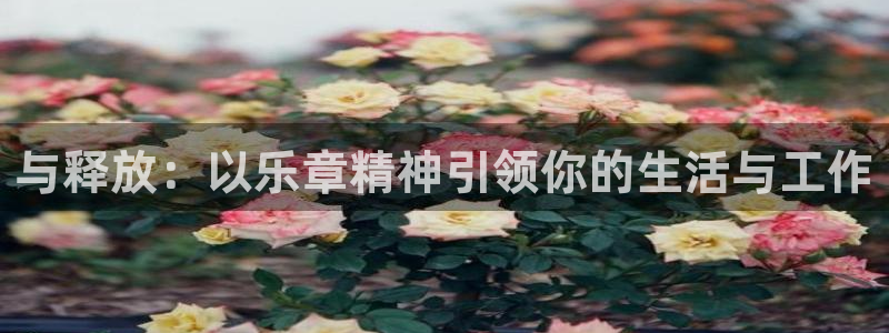 耀世娱乐app入口：与释放：以乐章精神引领你的生活与工作