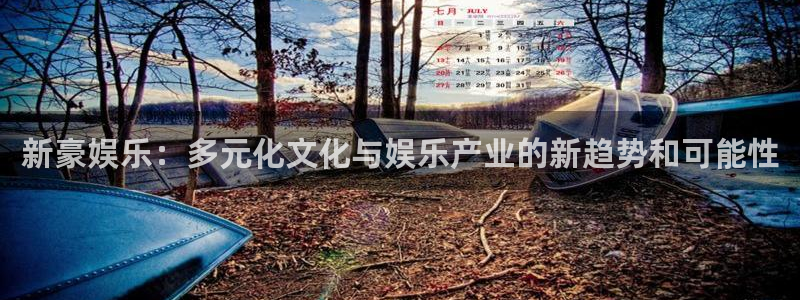 壹号大舞台,有梦你就来：新豪娱乐：多元化文化与娱乐产业的新趋势和可能性