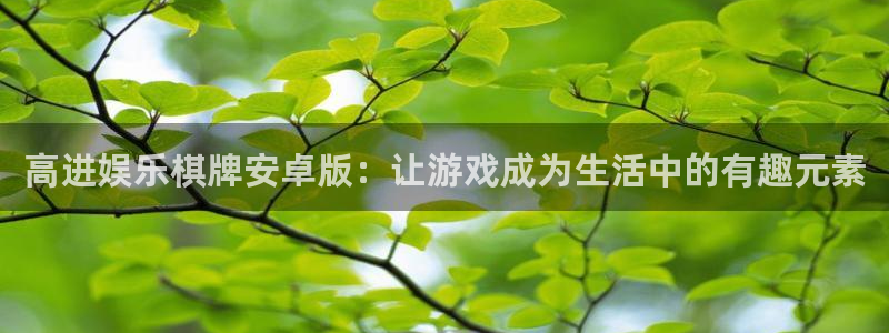 壹号大舞台下载：高进娱乐棋牌安卓版：让游戏成为生活中的有趣元素