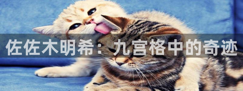 壹号大舞台有梦你就来：佐佐木明希：九宫格中的奇迹