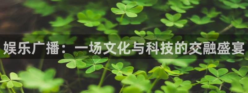 壹号app下载官网娱乐：娱乐广播：一场文化与科技的交融盛宴