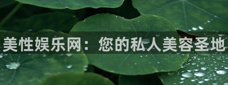 壹号大舞台怎么下载：美性娱乐网：您的私人美容圣地